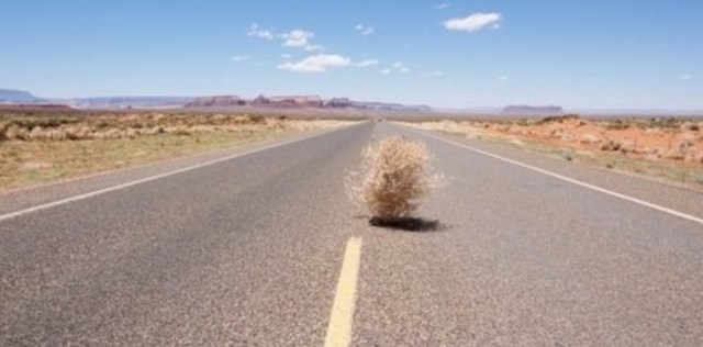 tumbleweed.jpg